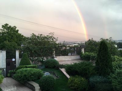 Прикрепленное изображение: IMG_9586.jpeg